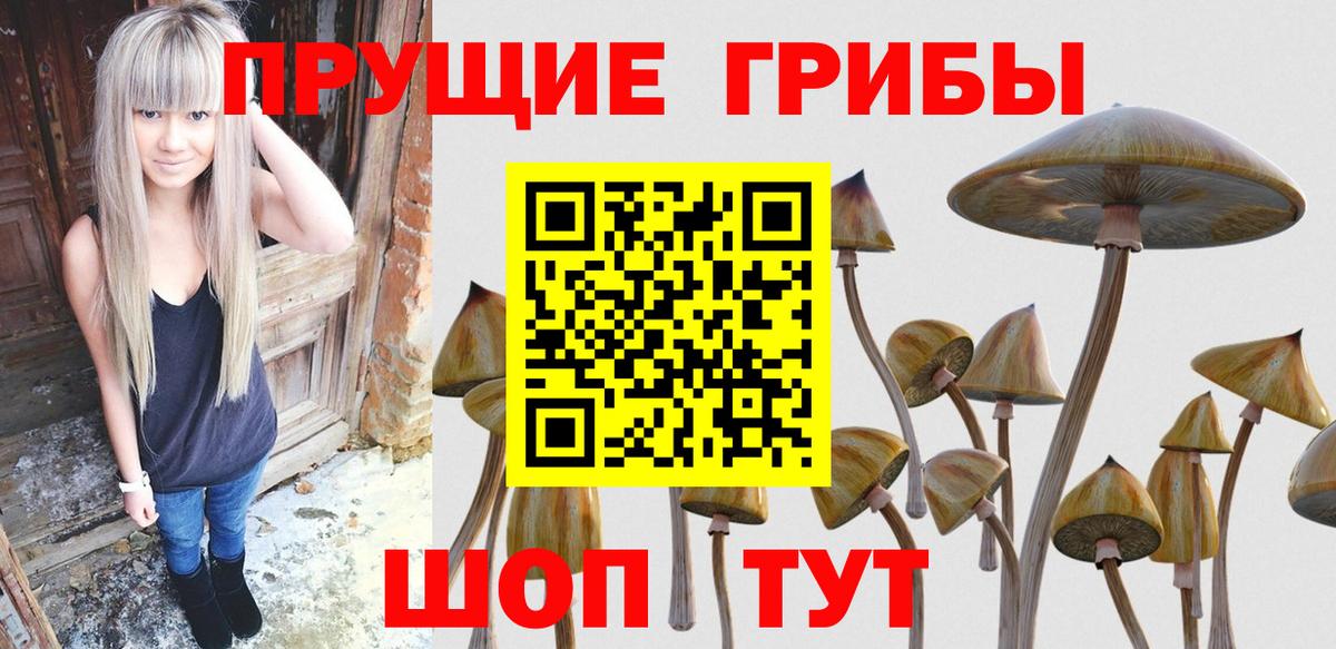 где купить наркоту  Вход с VPN  Копейск  Псилоцибиновые грибы GOLDEN TEACHER  Псилоцибиновые грибы прущие грибы 